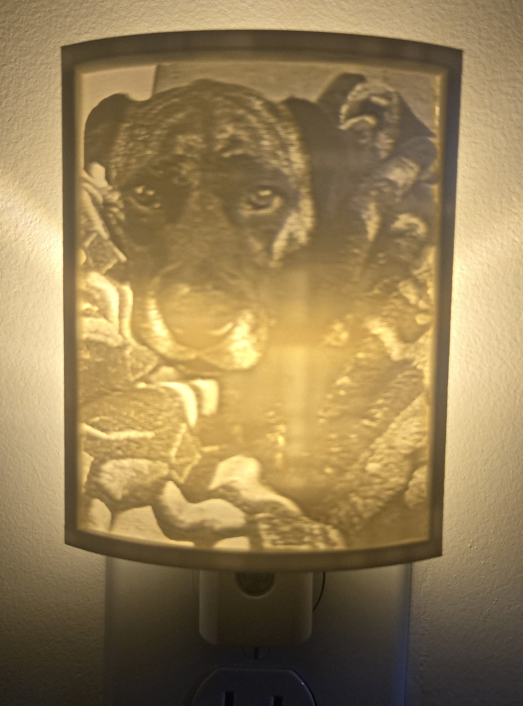 3D Lithophane Nightlight