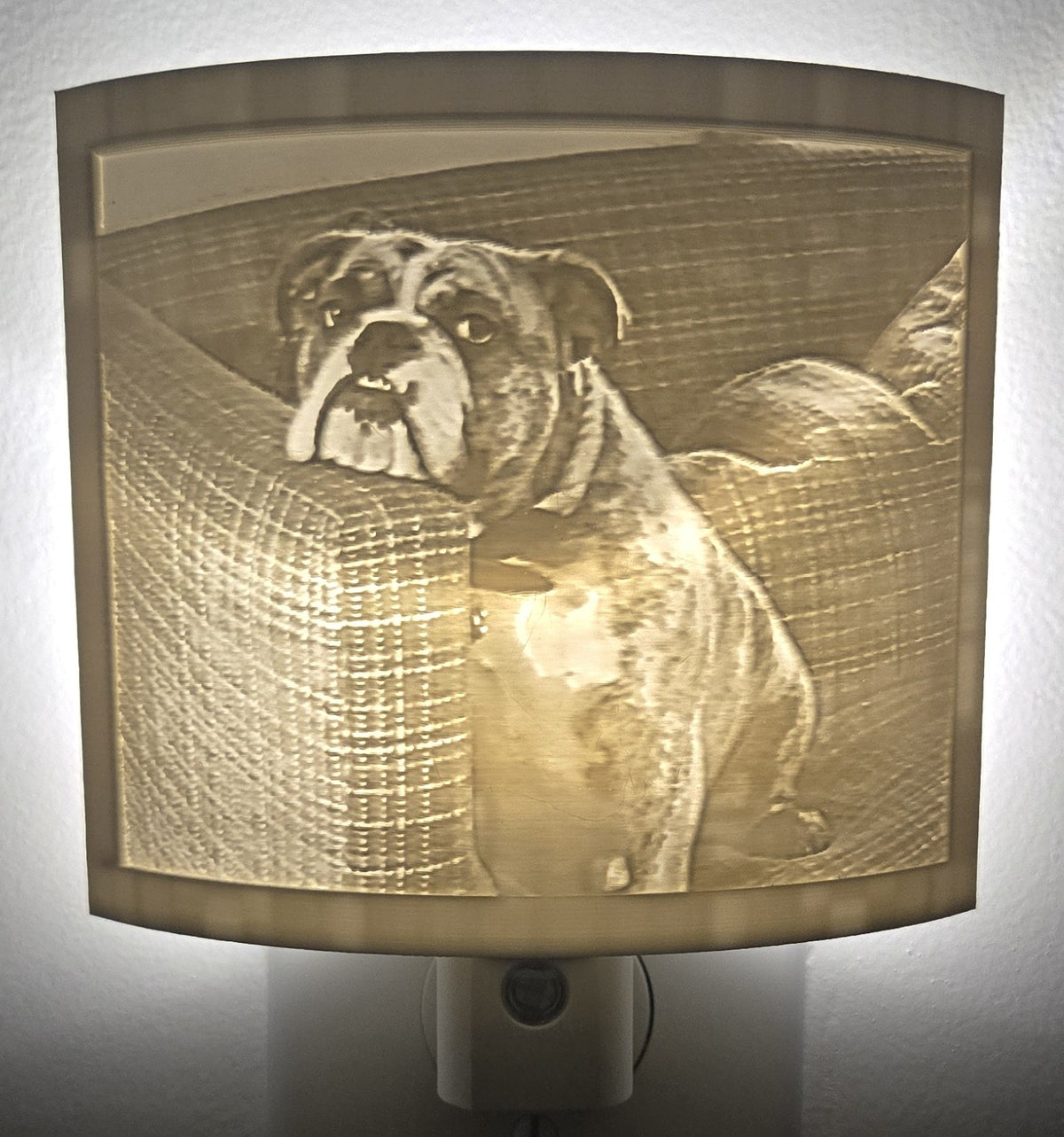 3D Lithophane Nightlight